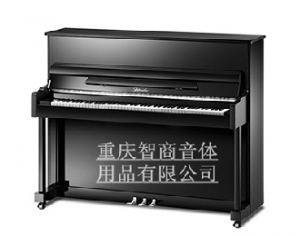 里特米勒钢琴JZ120