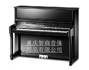 里特米勒钢琴JZ123